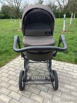 Koarek  3v1-  inglesina ptia , vajico - 12