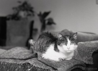 Hasselblad 500 C/M Konvolut – středoformátový set se 3 skly - 12