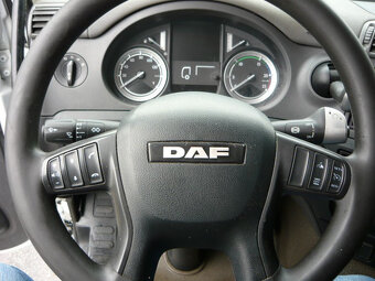 DAF CF 290 EURO 6 AUTOMAT - 12