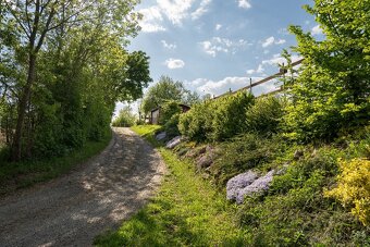 Venkovní ustájení - 12