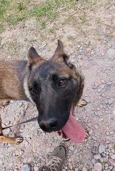 FREYA K ADOPCI - dokonalá parťačka - 12