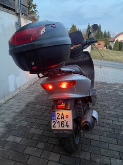 Yamaha 150D Majesty - 12