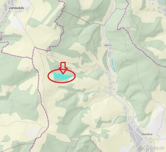 Prodej lesního pozemku v k.ú. Hostice - 12