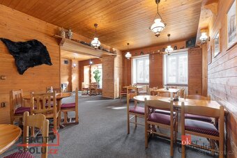Prodej, komerční/ubytování, 393 m2, Školní 211, 79312 Horní  - 12