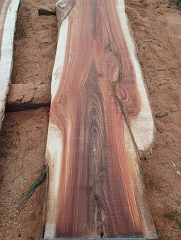 Fošny z červeného Jilmu - 12