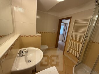 Pronájem bytu 1+kk, 54 m2 - Praha - Holešovice, ev.č. N08097 - 12