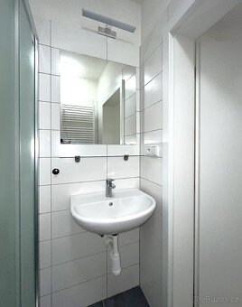 Prostorný 1+kk Lidická u Lužánek i k dlouhodobému nájmu - 12