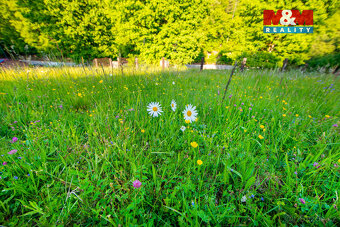 Prodej louky, 18692 m², Jílové u Prahy - 12