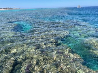 Apartmany na golfu Soma bay Egypt - 12