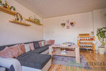 Prodej rodinného domu se zahradou + garáží a stavební parcel - 12