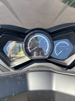 Maximus Caesar 125  motor Honda 8,5 koní - 12