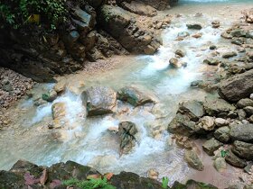 Farmy Kostarika Rio Claro - 12