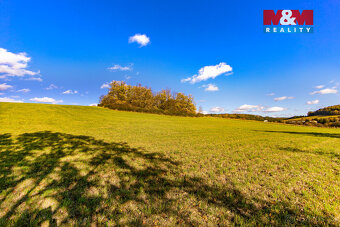 Prodej pole, 6484 m², Kolinec - 12