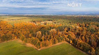Prodej pozemek Lesy, 10398㎡ - 12