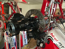 MOTOKÁRA BIREL ART ROTAX DD2 - 12