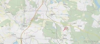 Prodám lesní pozemek v k.ú. Horní Ostrovec - 12
