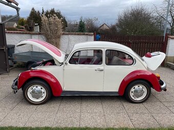 VW Brouk - 12