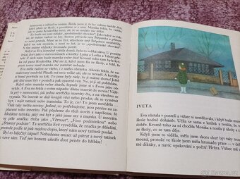 BOŘÍK & spol. a další dětské knížky... - 12