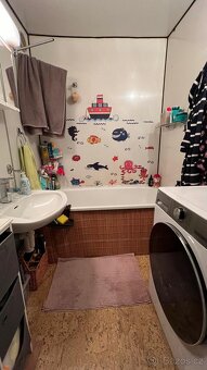 Byt ve Cvikově - 12