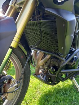 Triumph Tiger 800 - 12