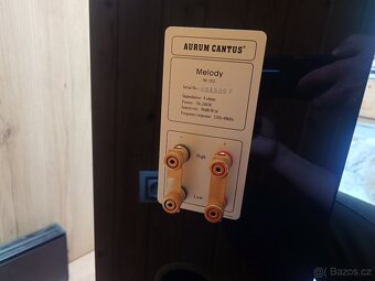 Aurum Cantus M-102HG - 12
