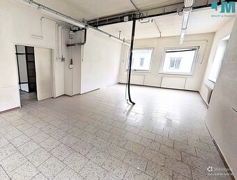 Prodej komerční nemovitosti 838 m², ul. Koželužská - Třebíč - 12