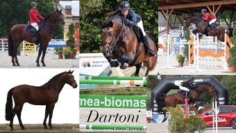 ČT hřebeček 2025 - Možnost splátek - 12