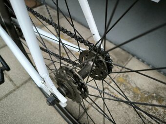 Kolo TRIBE - Singlespeed/Fixie - (54 cm) - 12