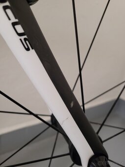 Focus Cayo EVO Ultegra Di2, vel.54 - 12