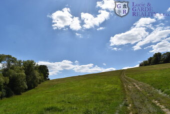Prodej, pozemek s rybníky, Božetice - 12