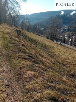 Prodej rodinného domu/chalupy  s rozsáhlými pozemky v Jáchym - 12