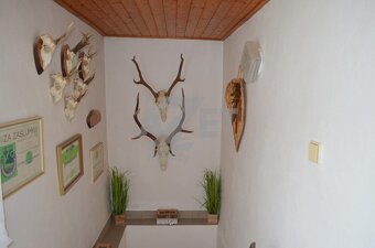 Prodej rodinného domu,  180 m2, Svébohov - 12