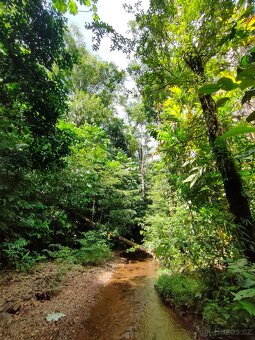 Pozemky a domy Kostarika - 12