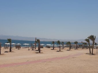 HOT OFFER SOMA BAY Egypt - 12