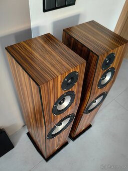 Sonics Amerigo - 12