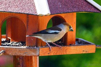 Sony FE 200-600 F/5,6-6,3 OSS + UV filtr Stav NOVÉHO - 12