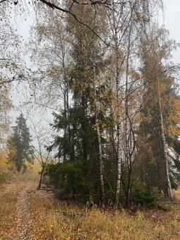 Prodej lesních pozemků k.ú. Úboč - 12