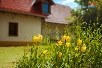 Prodej rodinného domu, 175 m², obec Břežany u Rakovníka - 12