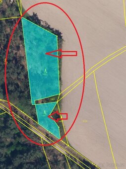 Prodej lesních pozemků v k.ú. Bolehošť - 12