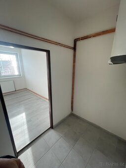 Pronájem 1+1 40m2, Hostomice, po rekonstrukci - 12