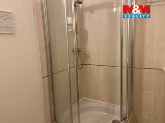 Pronájem apartmánu, 110 m², Plzeň, ul. Zbrojnická - 12
