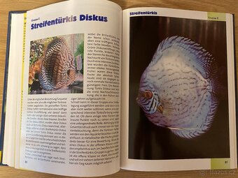 Terčovci miniatlas II - 319 stran plných terčovců - 12