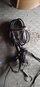 Prodám chomouty,podušky ,postroje - 12