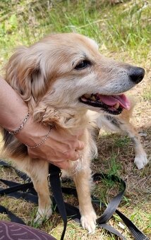 VIKY & ZORKA - umazlené babičky čekají na svého anděla - 12