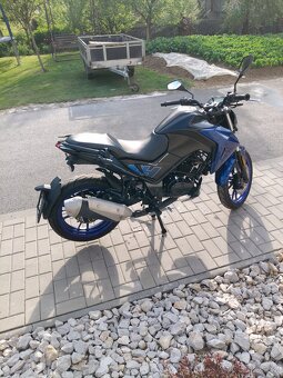 Sym NH-X 125 - 12
