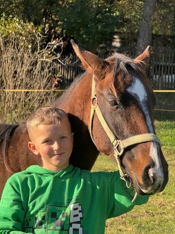 Hřebeček do rodiny - 12