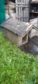 Chlebník, 2ks. zrcadla, 3ks. ledovače, toustovač-za odvoz - 12
