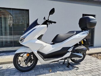 Honda Pcx 125 Dx -ČR 6let záruka Bílá - 12