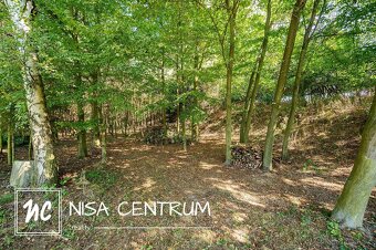 Prodej lesa 3 075 m² v Obrubech - 12