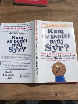 Byznysové knížky -prodám - 12
